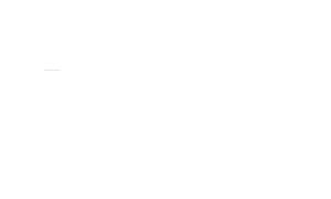 Blumind Ai logo