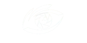 In a Blink logo