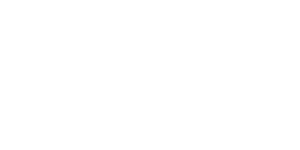 Indro Robotics logo
