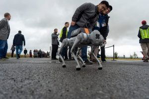 GCXpo robot dog