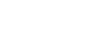 Nanobubble Control Systems logo