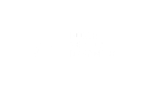 North Vector Dynamics