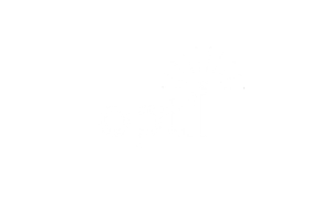 Optii logo