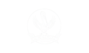 Pelican Autonomy logo