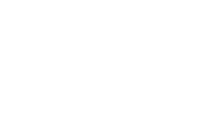 Sentinel logo